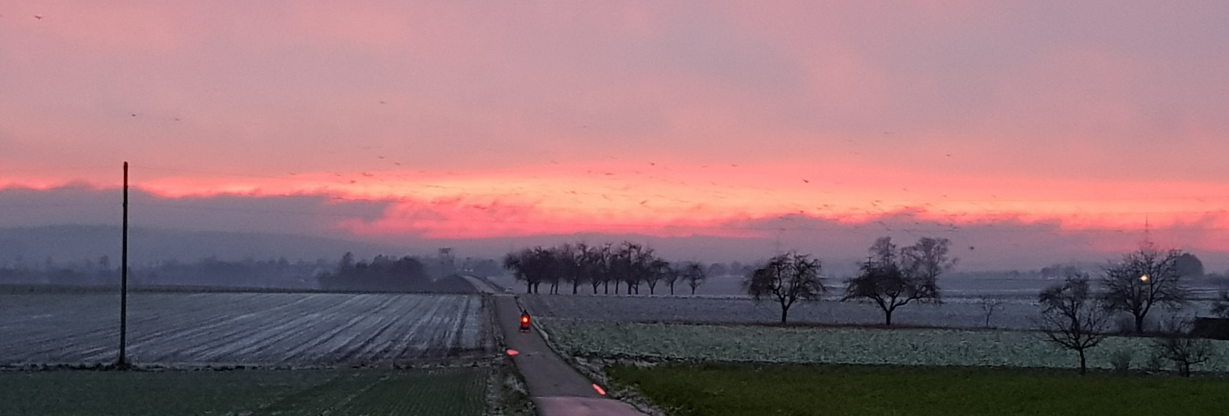 fahrrad_sundown.jpg